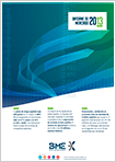 2013 Market Report cover
