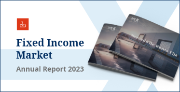 Fixed Income Annual Report 2023