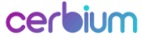 CERBIUM HOLDING, S.A.