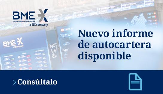 Informe de Autocartera