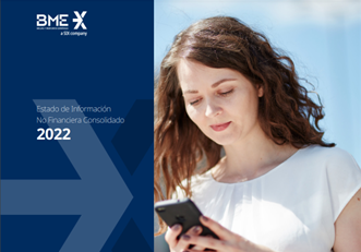 Consolidated non-financial statement