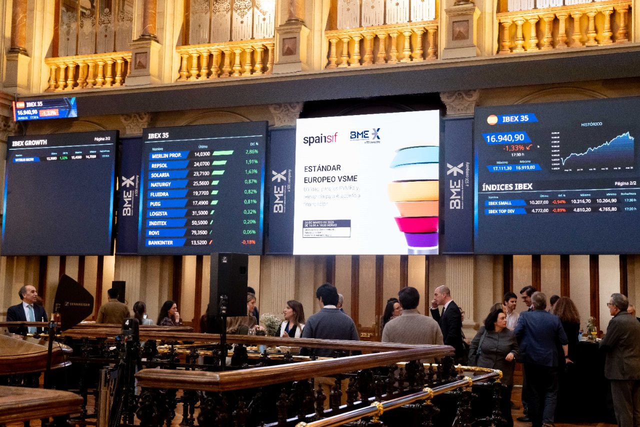 ESTÁNDAR EUROPEO VSME