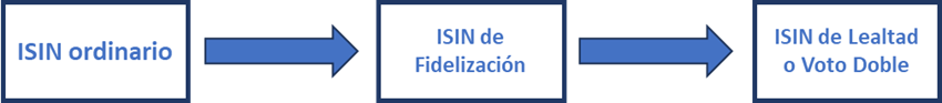ISIN ordinario, ISIN de fidelización, ISIN de Lealtad o voto doble 