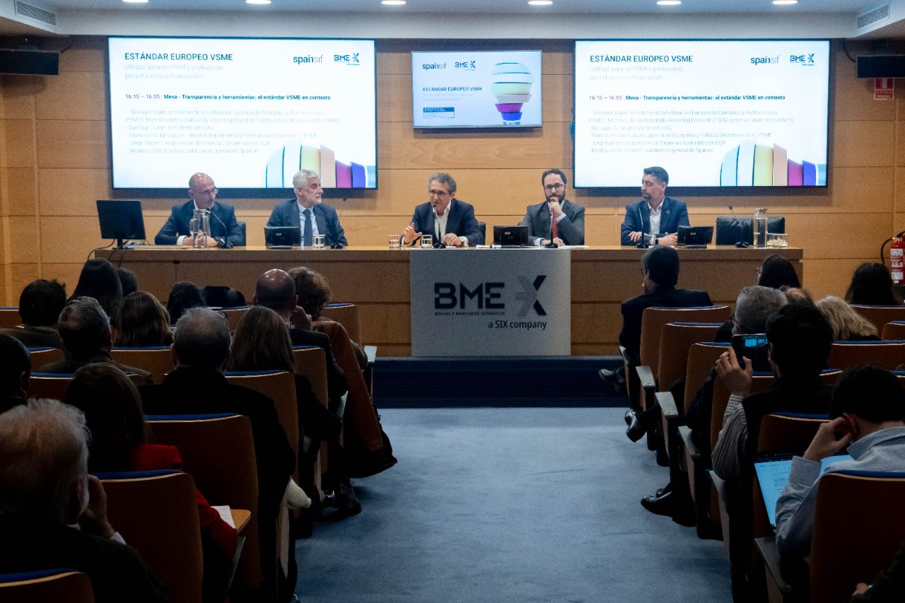ESTÁNDAR EUROPEO VSME
