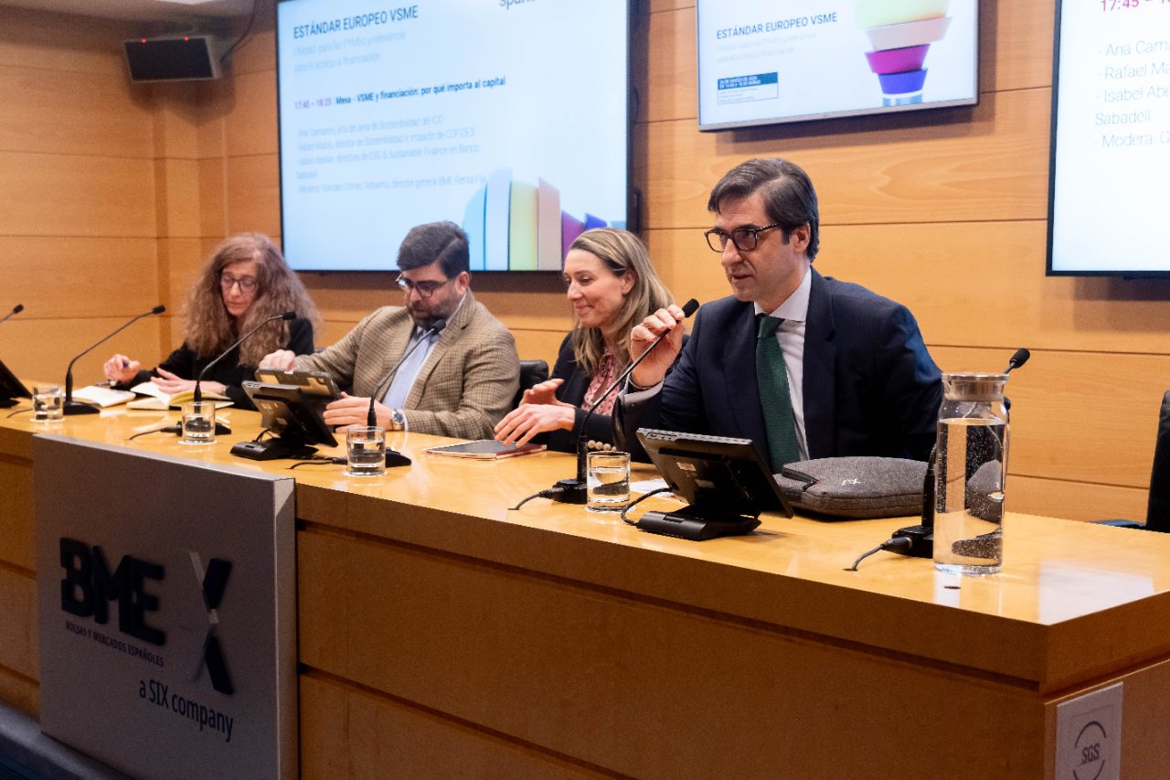 ESTÁNDAR EUROPEO VSME